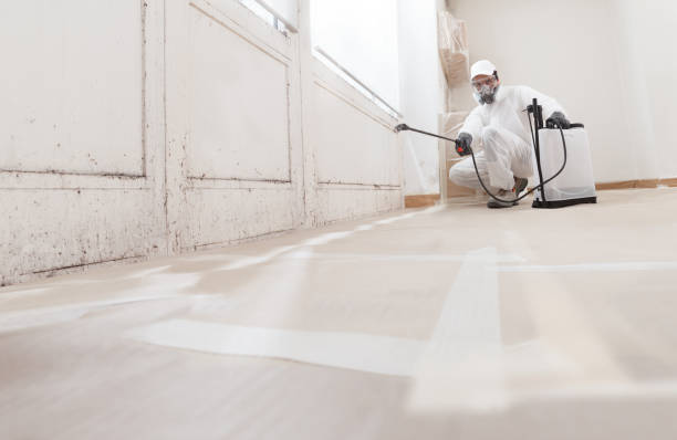 24/7 Emergency Mold Removal experts in Summerhill, PA