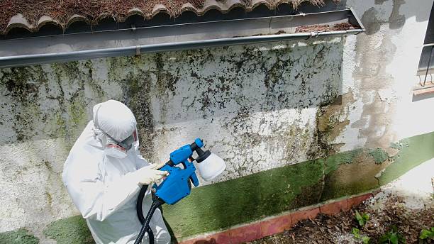 Trusted Bathroom Mold Removal service in Summerhill, PA - Cheap Mold Removal